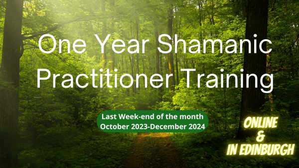 One Year Shamanic Practitioner Training