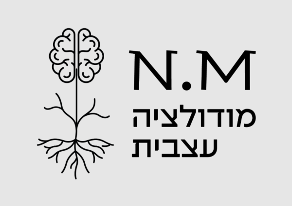 Neuromodulation