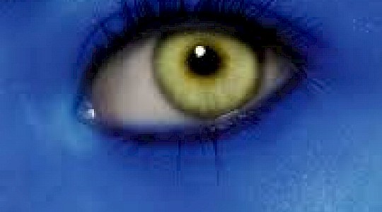 blue eye