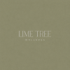 Lime Tree Wellness
