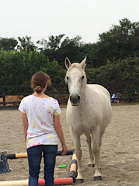 Equine-assisted Personal Development Coach Training