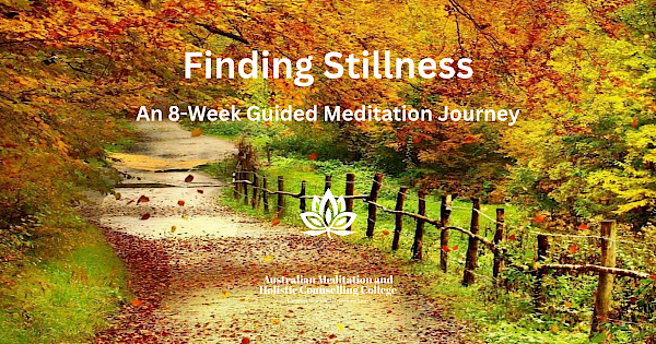 Finding Stillness