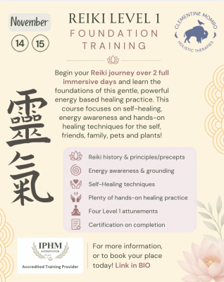Shoden Level 1 Reiki Foundation Course