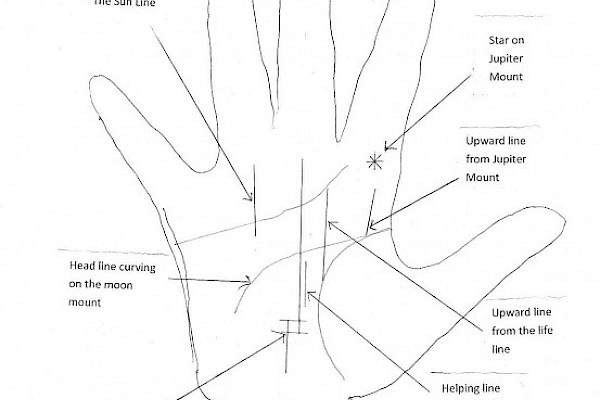 six signs of success in palmistry