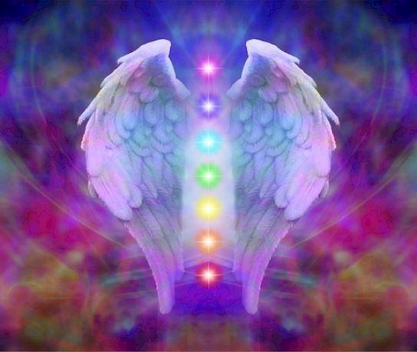 Little Angel Holistics