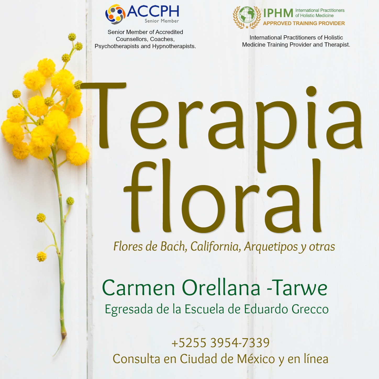 Carmen Orellana-Tarwe logo