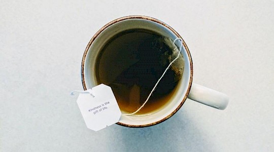 Can tea help you sleep better?