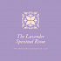 The Lavender Spiritual Room IPHM